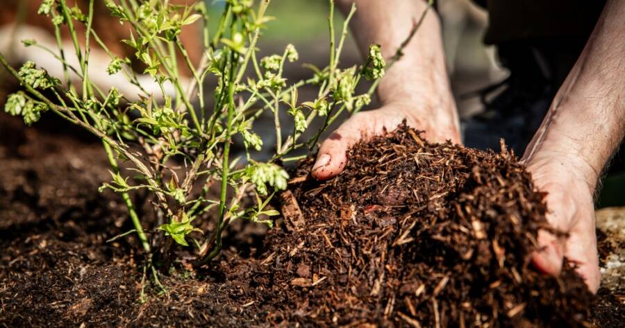 Using Mulch Layers to Reduce Weed Growth in Garden Beds